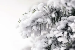 DecoWoerner Árboles De Navidad Artificiales>Abeto Artificial, Estrecho, Cubierto De Nieve 150 Cm