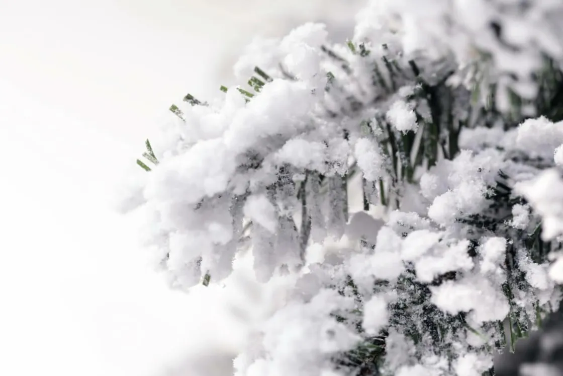 DecoWoerner Árboles De Navidad Artificiales>Abeto Artificial, Estrecho, Cubierto De Nieve 150 Cm