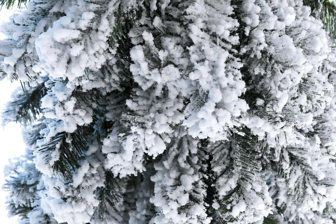 DecoWoerner Árboles De Navidad Artificiales>Abeto Artificial, Estrecho, Cubierto De Nieve 180 Cm
