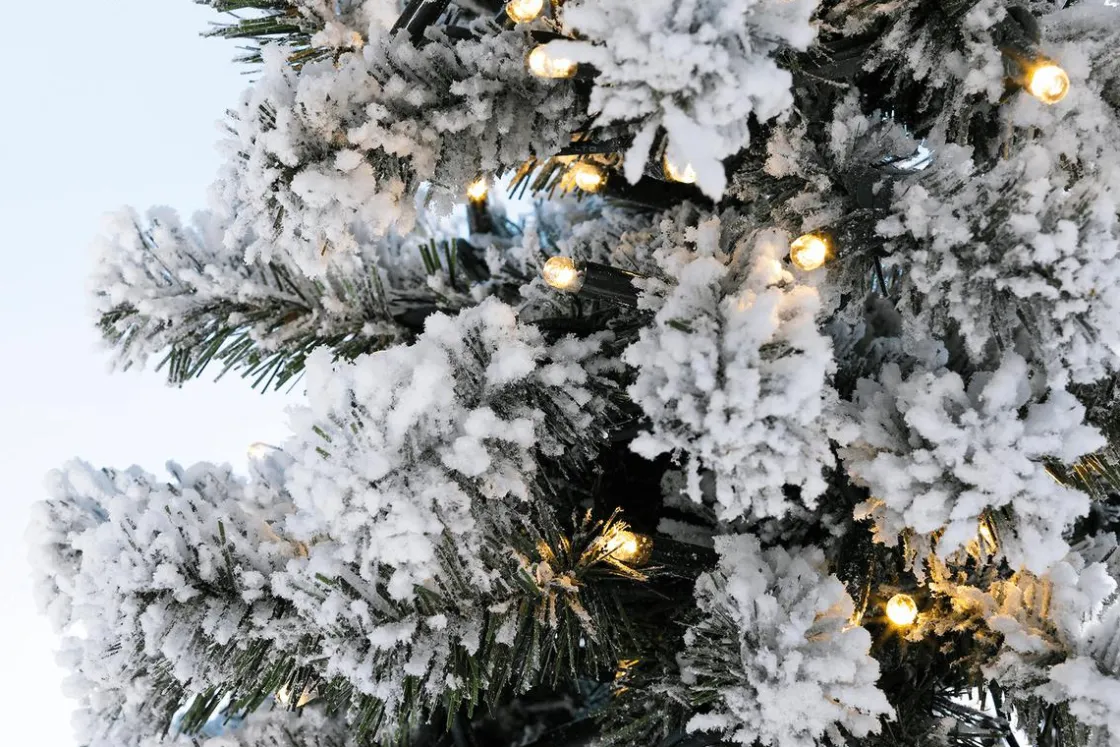 DecoWoerner Árboles De Navidad Artificiales>Abeto Artificial, Estrecho, Cubierto De Nieve Con LED 240 Cm