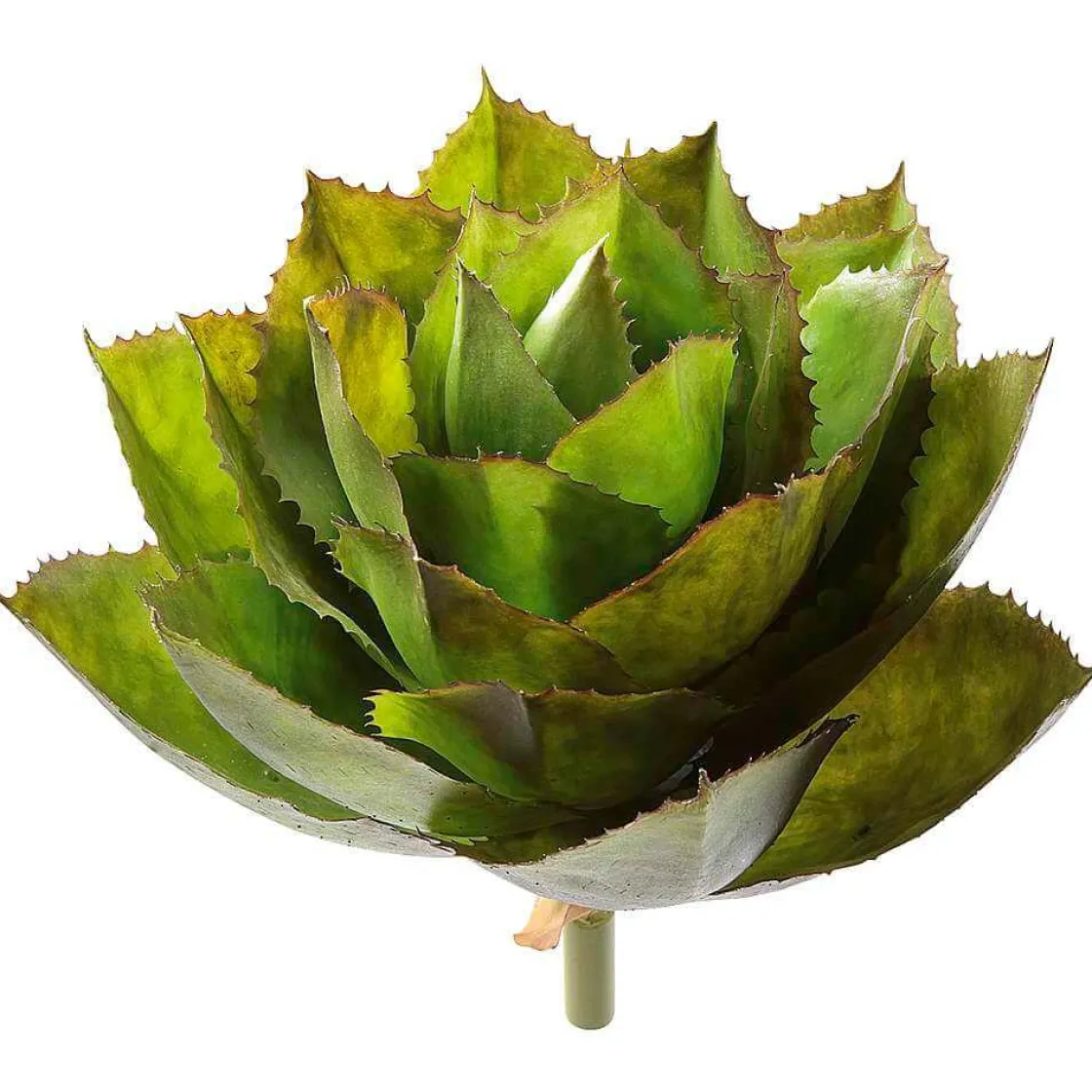 DecoWoerner Plantas De Interior>Agave Parryi Artificial Sin Maceta, 38 Cm Ø