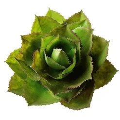 DecoWoerner Plantas De Interior>Agave Parryi Artificial Sin Maceta, 38 Cm Ø