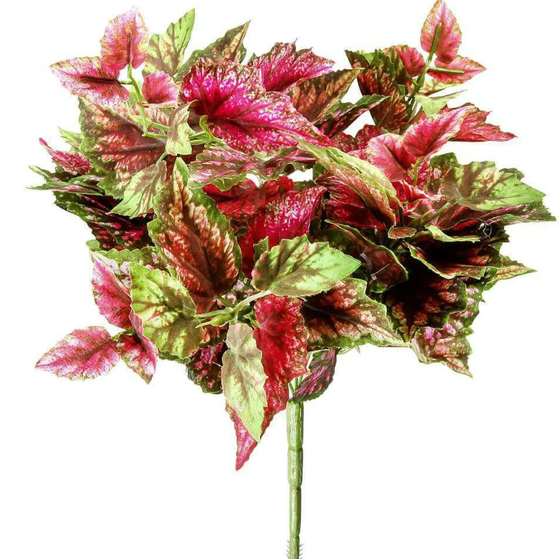 DecoWoerner Plantas Verdes|Hojas>Arbusto De Begonia Artificial , 30 Cm