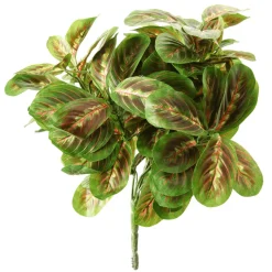 DecoWoerner Plantas Verdes|Hojas>Arbusto Marantea Artificial, 30 Cm