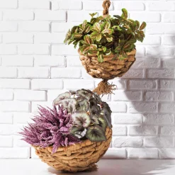DecoWoerner Plantas Verdes|Hojas>Arbusto Marantea Artificial, 30 Cm