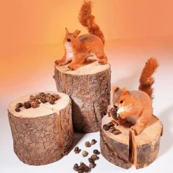 DecoWoerner Decoración De Animales|Decoración De Otoño><noscript><img width=