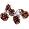 DecoWoerner Decoración Dispersa|Decoración Natural>Artículo Para Dispersar Piñas De Pino, 6 Piezas