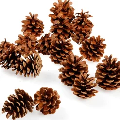 DecoWoerner Decoración Dispersa>Artículos Para Dispersar Conos De Pino, Aprox. 50 Piezas
