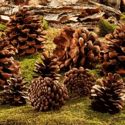 DecoWoerner Decoración Dispersa><noscript><img width=