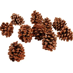 DecoWoerner Decoración Dispersa>Artículos Para Dispersar Piñas De Pino, 10 Piezas