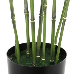 DecoWoerner Plantas Verdes|Plantas De Interior><noscript><img width=