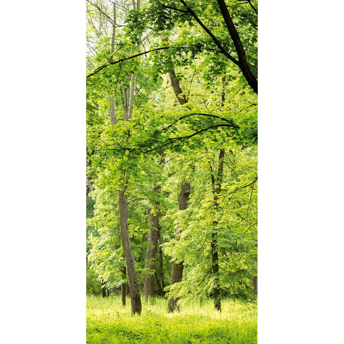 DecoWoerner Decoración Natural|Decoración De Verano>Bandera De Tela Ignífuga "Bosque De Primavera" De Tela De Bandera 100 X 200 Cm