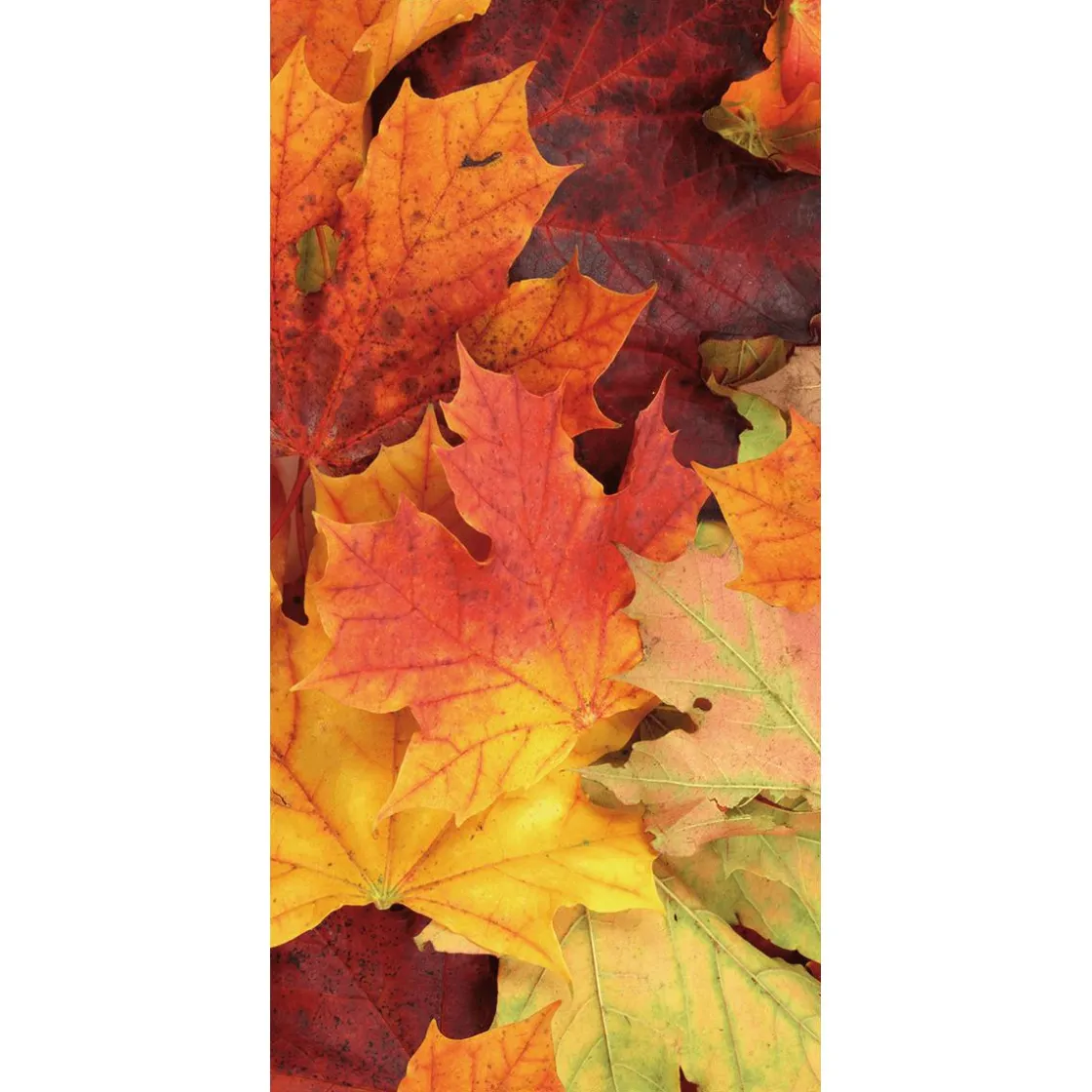 DecoWoerner Decoración De Otoño|Pancartas De Otoño>Bandera De Tela Ignífuga "Hojas De Otoño" 100 X 200 Cm