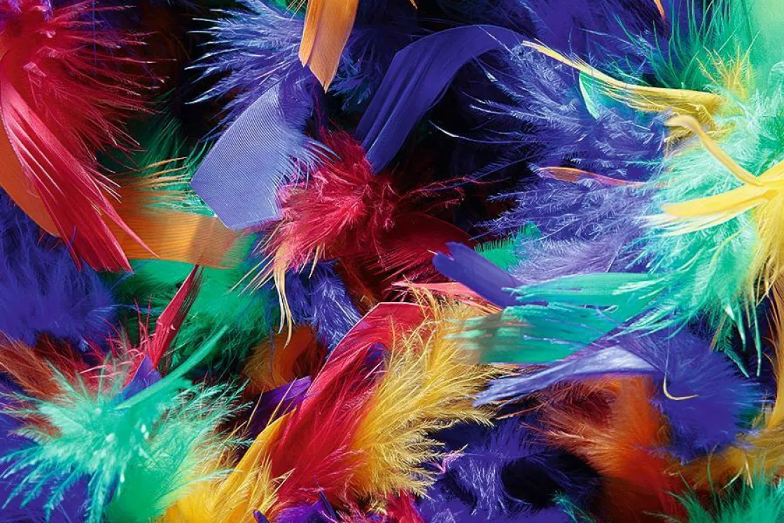 DecoWoerner Decoración Temática>Boa De Plumas, Colorida, 180 Cm