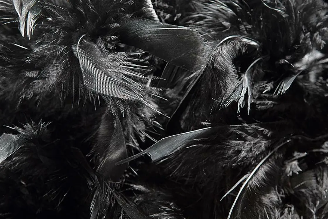 DecoWoerner Decoración Temática>Boa De Plumas, Negra, 180 Cm