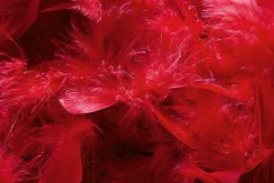 DecoWoerner Decoración Temática><noscript><img width=