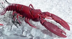 DecoWoerner Pescados Y Mariscos>Bogavante Alimento De Imitación