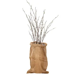 DecoWoerner Decoración De Otoño><noscript><img width=