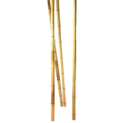 DecoWoerner Decoración Natural|Decoración Temática>Cañas De Bambú Natural, 3 Piezas