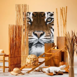 DecoWoerner Decoración Natural|Decoración Temática><noscript><img width=