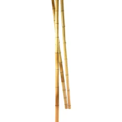 DecoWoerner Decoración Natural|Decoración Temática><noscript><img width=