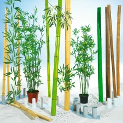 DecoWoerner Decoración Natural|Decoración Temática><noscript><img width=