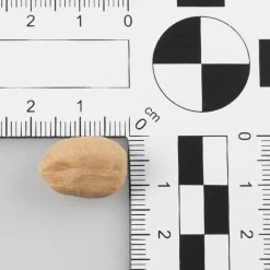 DecoWoerner Frutas>Cacahuetes Sin Cáscara -sujeción De Alimentos Bolsa De 50 G