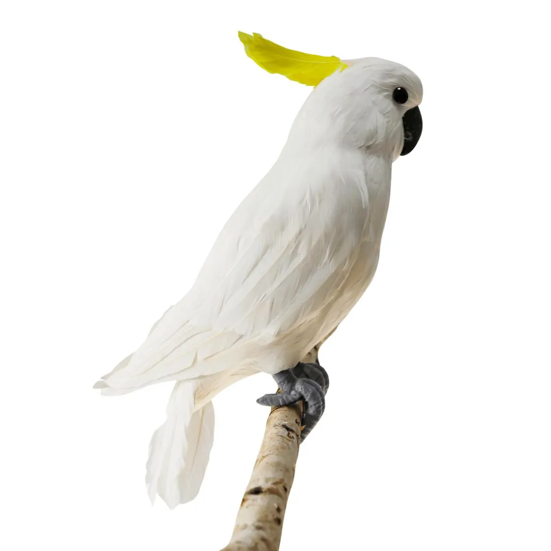 DecoWoerner Decoración De Animales|Decoración De Verano>Cacatúa Decorativa Sentada Blanca-amarilla, 40 Cm