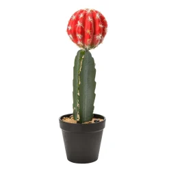 DecoWoerner Plantas De Interior>Cactus Artificial De Fresa En Maceta 35 Cm