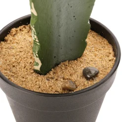 DecoWoerner Plantas De Interior><noscript><img width=