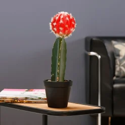 DecoWoerner Plantas De Interior><noscript><img width=