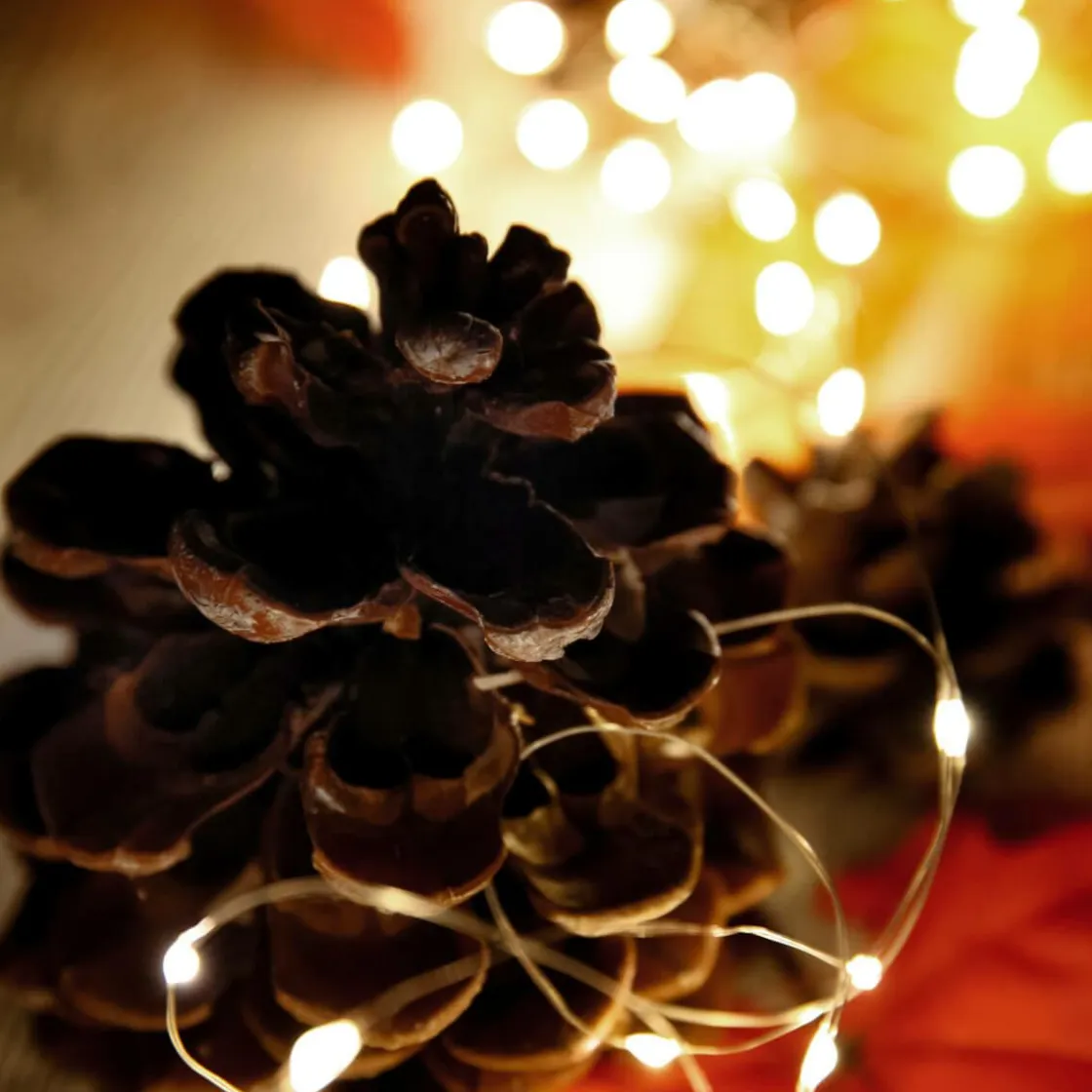 DecoWoerner Luces De Navidad>Cadena De Luces LED Con Alambre Con Baterías Para Exteriores, 100 LED, 10 M