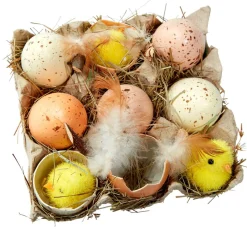 DecoWoerner Decoración De Pascua>Caja De Huevos Y Pollitos