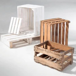 DecoWoerner Decoración Natural|Decoración Temática><noscript><img width=