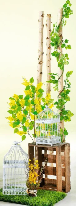 DecoWoerner Decoración Natural|Decoración Temática><noscript><img width=