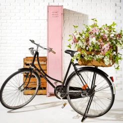 DecoWoerner Decoración Natural|Decoración Temática><noscript><img width=