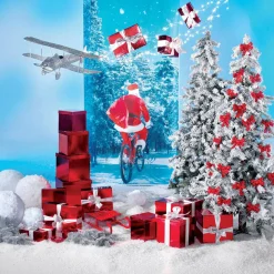 DecoWoerner Cajas De Regalo><noscript><img width=