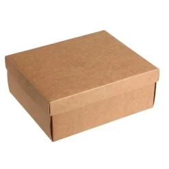 DecoWoerner Cajas De Regalo>Cajas De Cartón De Regalo 24 X 22 X 9,5 Cm 10 Piezas