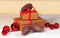 DecoWoerner Cajas De Regalo>Cajas De Cartón De Regalo 38 X 26 X 13 Cm 10 Piezas