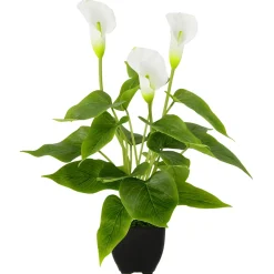 DecoWoerner Plantas De Interior|Flores Artificiales>Calla Planta Artificial Blanca 40 Cm En Maceta