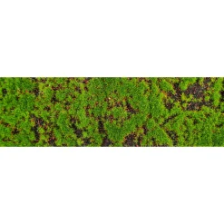DecoWoerner Decoración Natural|Decoración De Otoño>Camino De Mesa "Alfombra De Musgo" 1 Metro