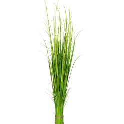 DecoWoerner Decoración De Primavera|Hierba Decorativa>Carrizo Decorativo, 150 Cm