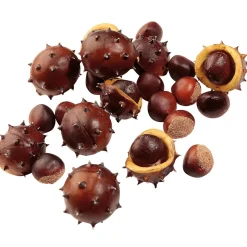 DecoWoerner Decoración De Otoño>Castañas Decorativas, Ø 5 Cm, 22 Piezas