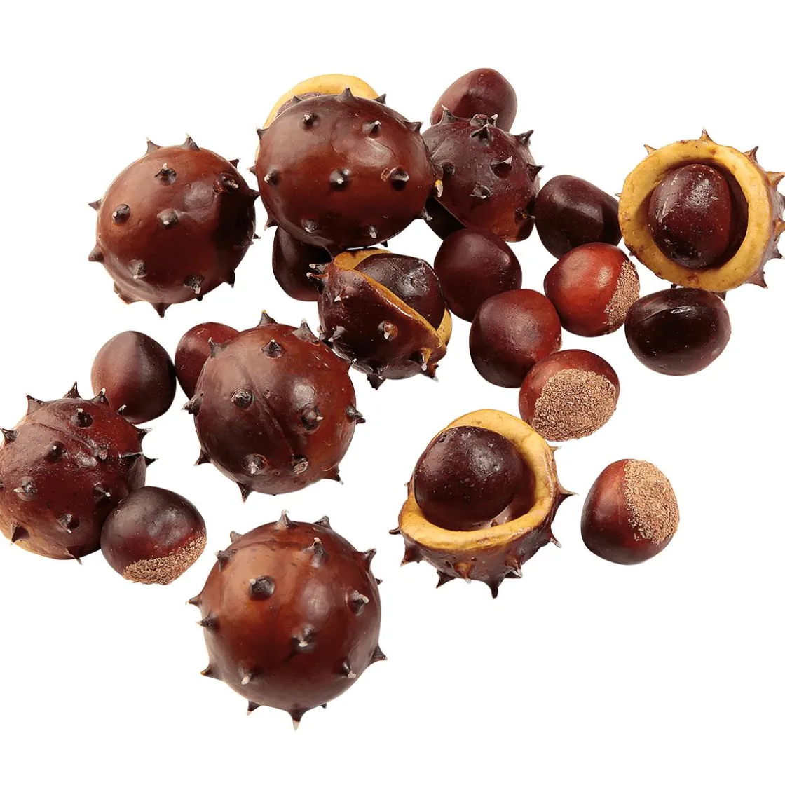 DecoWoerner Decoración De Otoño>Castañas Decorativas, Ø 5 Cm, 22 Piezas