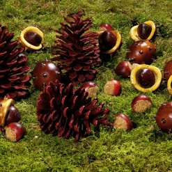 DecoWoerner Decoración De Otoño>Castañas Decorativas, Ø 5 Cm, 22 Piezas