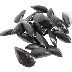 DecoWoerner Pescados Y Mariscos>Chupetes De Mejillones, Pack De 24 Uds.