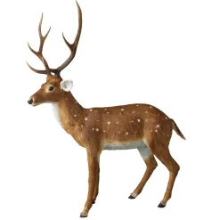 DecoWoerner Decoración De Animales|Decoración De Otoño>Ciervo Decorativo XXL De Pie 195 Cm