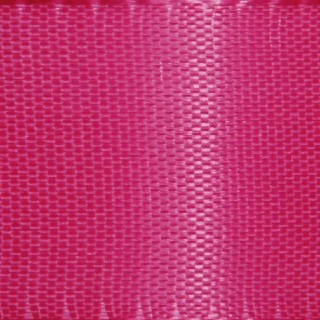 DecoWoerner Cintas De Regalo>Cinta De Tafetán Con Orillo 25 Mm, 50 M,