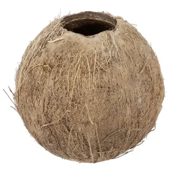 DecoWoerner Decoración De Verano>Coco Rellenable 12 Cm Ø