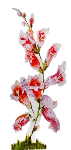 DecoWoerner Decoración De Primavera>Colgante De Exposición "Dedalera" Anchura 156 Cm